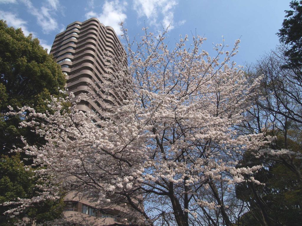 Tokyo Marriott Hotel Exterior photo